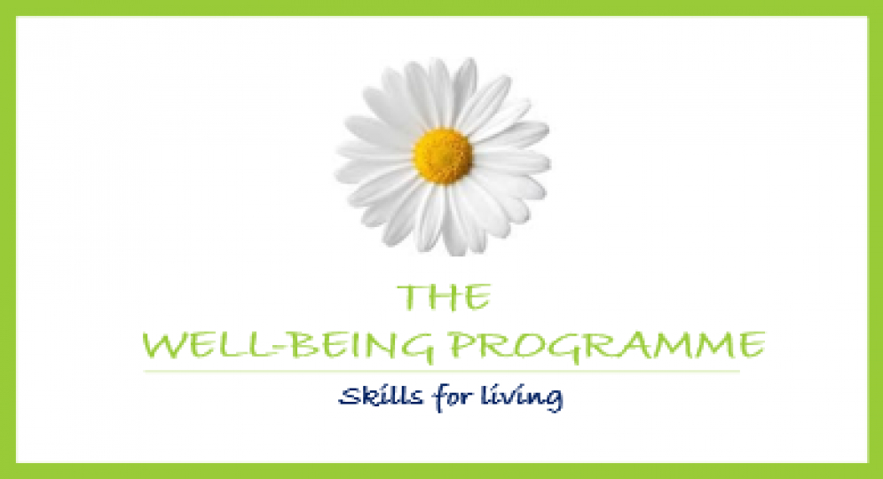 The Wellbeing Programme