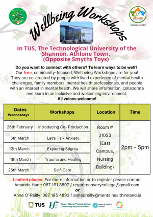 Wellbeing Workshops in Athlone, TUS, 2025